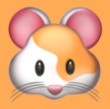 WWW,sss17·COM网站APPAPP应用