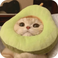 蜜瓜视频下载官方版APP应用